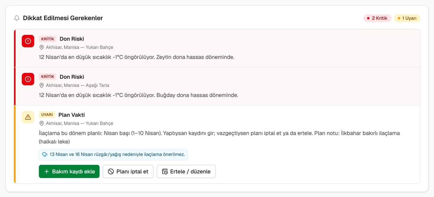 Zeytin ve buğday için kritik don uyarısı; vakti gelen ilaçlama planı ve uygun olmayan günler notu